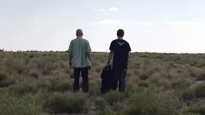 Во все тяжкие — 2 сезон 3 серия «Укус мёртвой пчелы», кадр